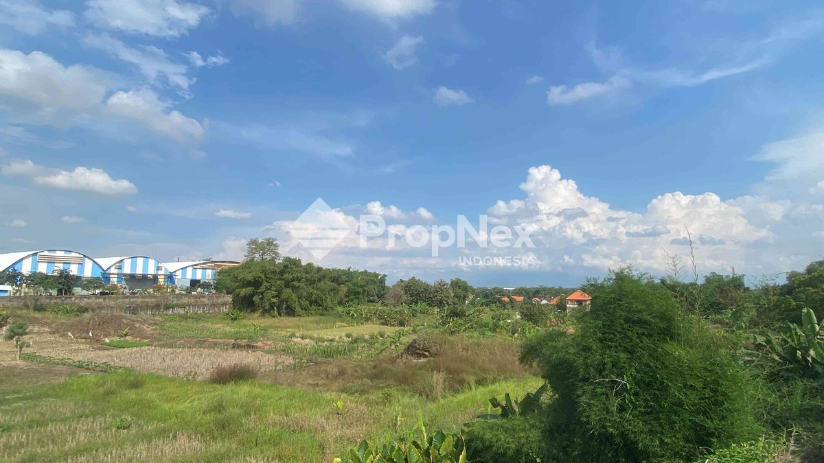 Tanah Kedamean Driyorejo
